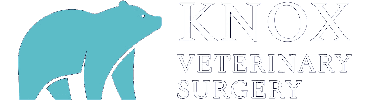 logo for knox veterinary surgery
